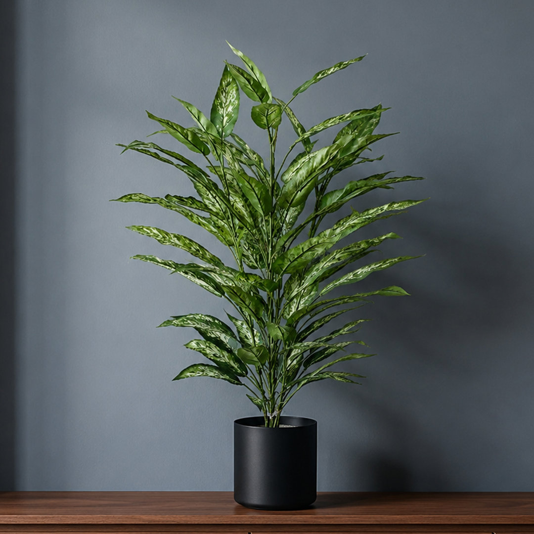B&Q -  80Cm Fire Retardant Aglaonema Bush With 72 Leaves - Image 5