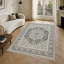 Area Rug-135773360