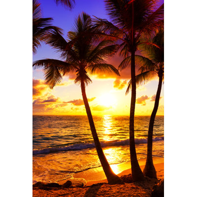 Coconut Palm Tree - Wrapped Canvas Print