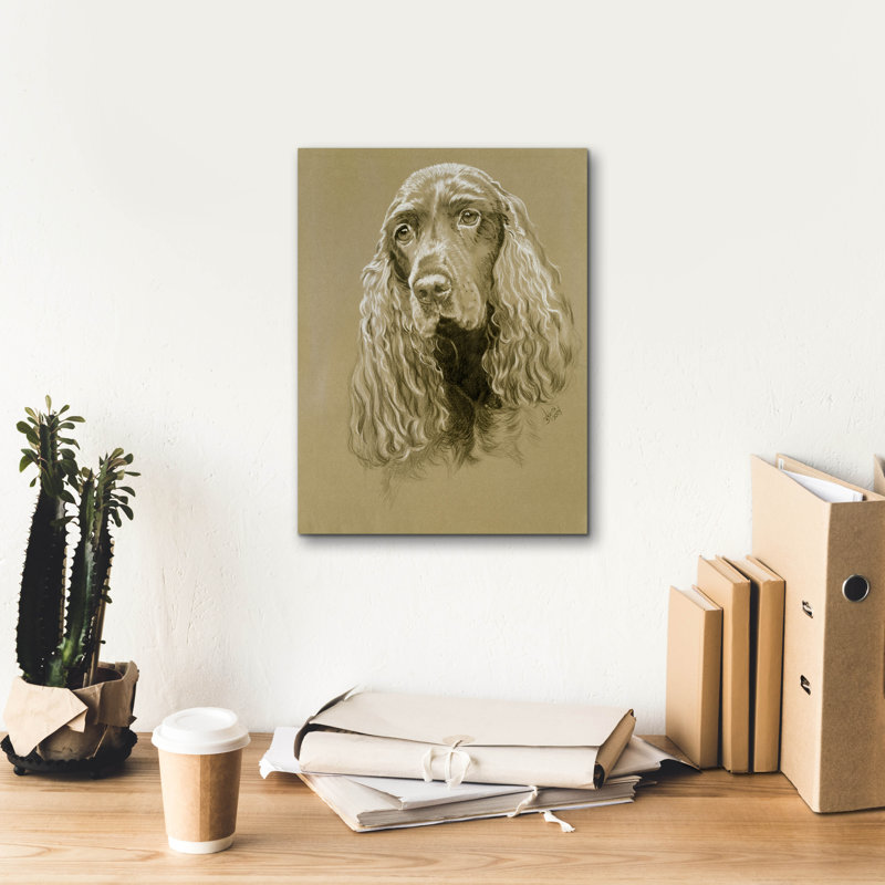 «Field Spaniel» par Barbara Keith, H 16 po x l 12 po