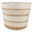 Cashaun Planter-1028848121