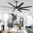 Ceiling Fan with Light Kit