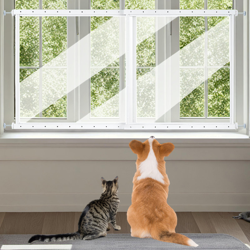Barrières de sécurité pour animaux de compagnie, panneaux en acrylique transparent plus sûrs que les barreaux