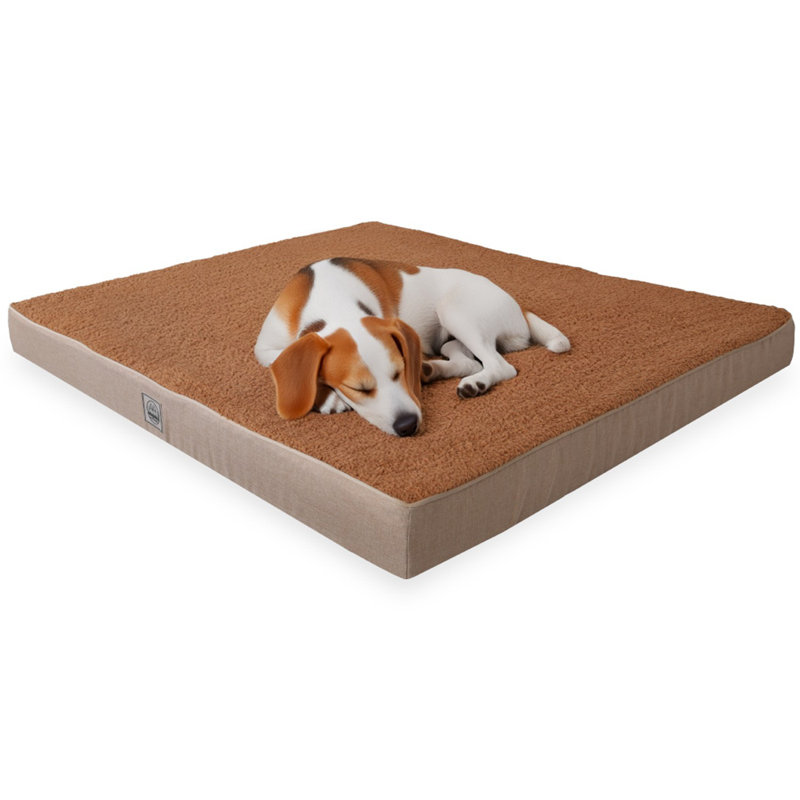 Jungolica Orthopedic Pet Bed, 80cm H x 60cm W x 8cm D, Brown