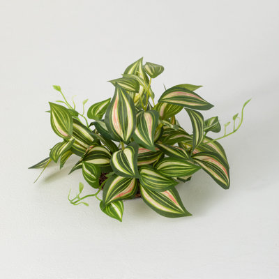 Ozzie 13'' Inch Plant Orb