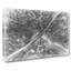 Road Through The Winter Forest - Wrapped Canvas-56647637
