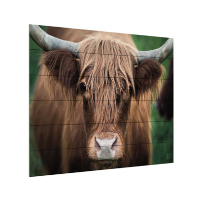 Nathan Larson 'Cow Nose' Wood Slat Art -  Trademark Fine Art, WAP30602-WS1822W