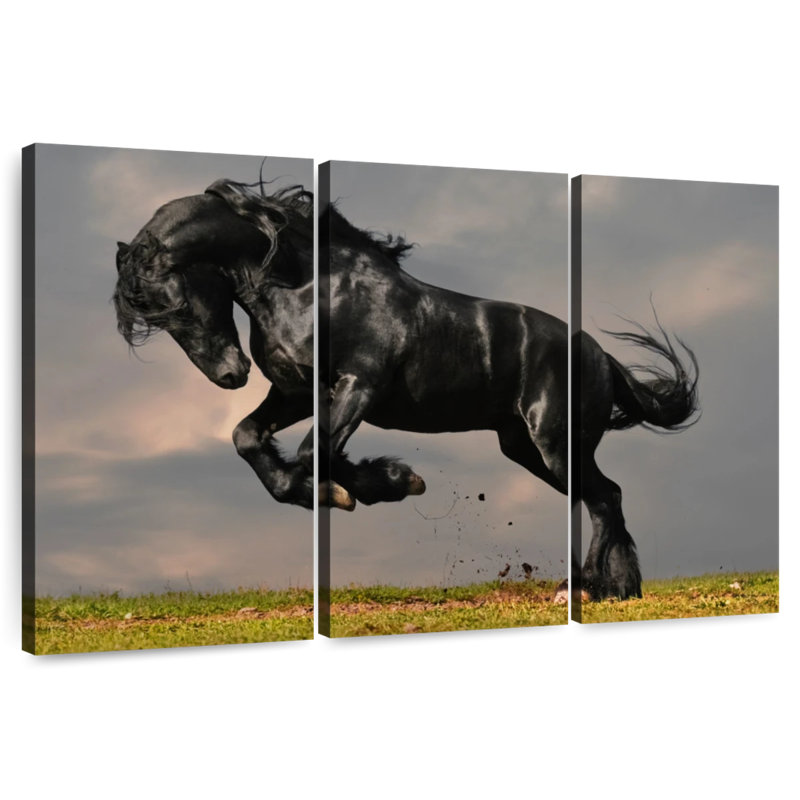Brampt Striking Friesian Stallion, 36" H x 57" W