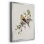 Spring Song Pine Grosbeak - Peinture sur toile encadrée-97612958-97612959