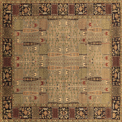 Oriental Indoor Rug