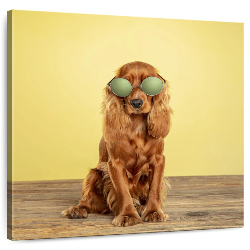 Crowle Cool Cocker Spaniel, 16" H x 16" W
