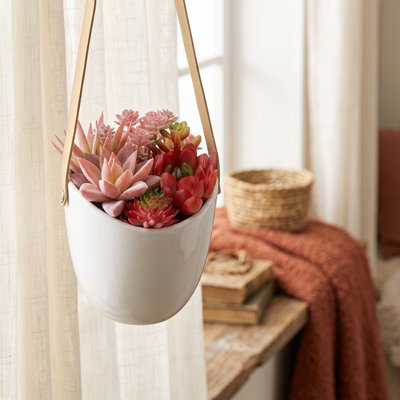 Plante grasse artificielle murale rouge rose