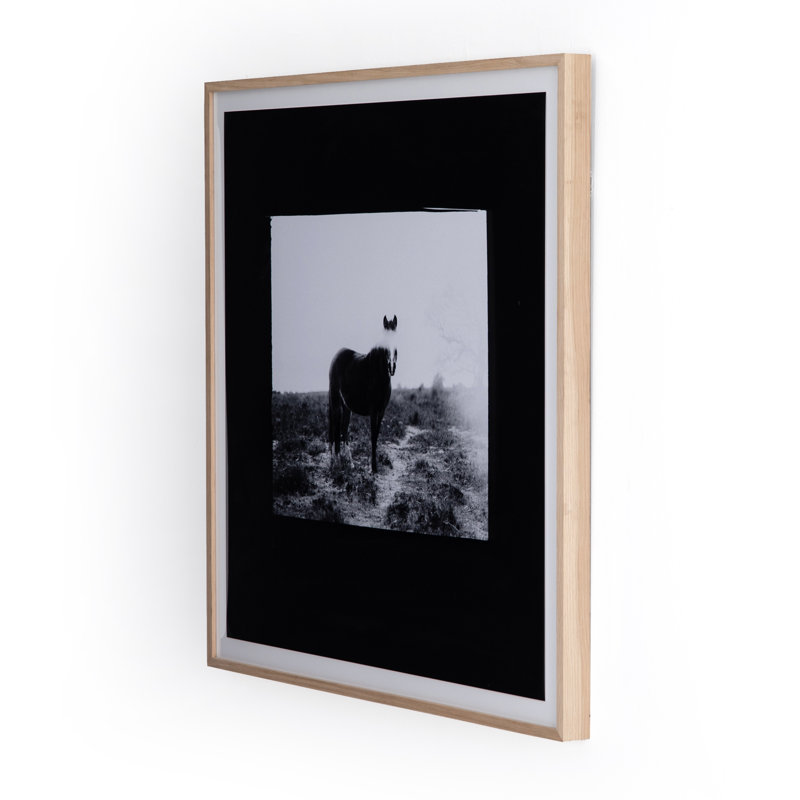 Blank Horse Print by Annie Spratt, 40" H x 40" W x 2.5" D