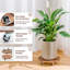 Wood Caddy Plant Stand
