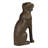 Labrador, Antique Brown