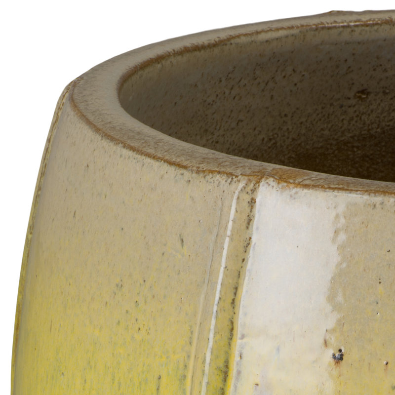 CREST PLANT, NEIGE, Jaune, H 25 po x l 18 po x P 18 po
