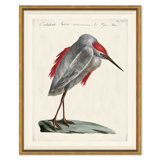 Odd Birds Giclee Print by Soicher Marin Archives