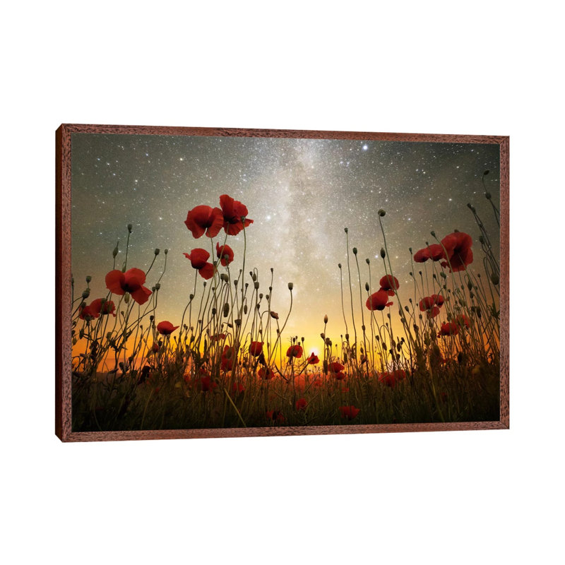 Moonrise Kingdom I by Adrian Borda - Floater Frame Print on Canvas, Brown, 101.6 cm H x 66.04 cm W