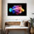 Brampt Rainbow Lionfish-107843128