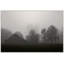 Plants & Flowers Print by Studio L57 Affinity-1323120391