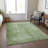 Machine Washable Indoor/Outdoor Xhevrie Aloe Rug-88552540