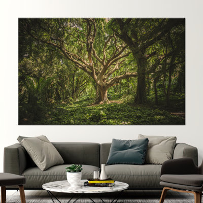 Print on Canvas