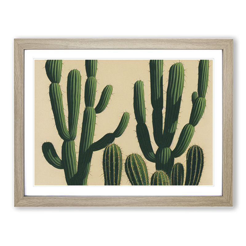 A Contemporary Cactus - Framed Print, 46cm H x 64cm W x 2cm D, Oak