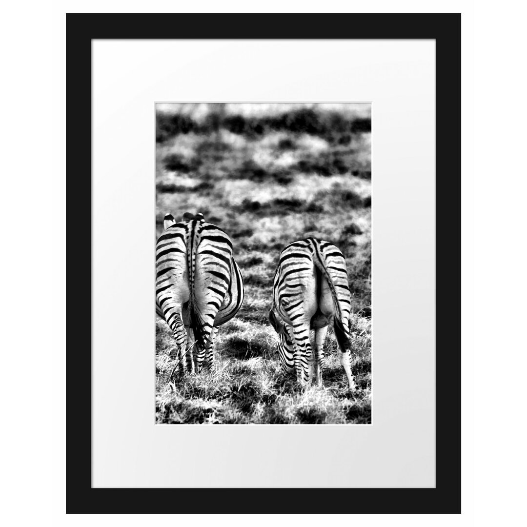 Gerahmtes Poster Zebras with White Birds