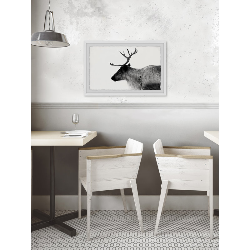 Antler Profile - Single Picture Frame Print, 20cm H x 30cm W x 4cm D