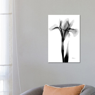 Expressed Iris I by Albert Koetsier - Wrapped Canvas Print