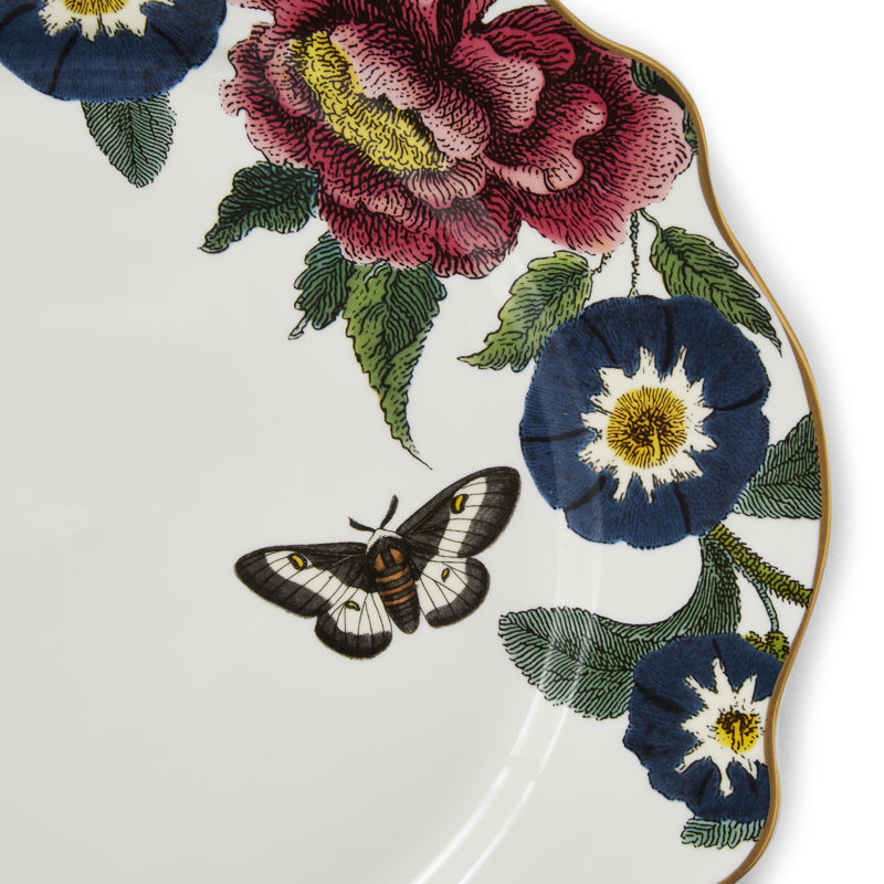 Creatures of Curiosity 4 Piece Dinner Plates Set