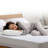 Greear Waterproof Fitted Mattress Protector Case Pack-1057896554