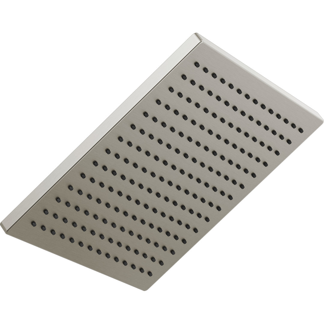 Delta 12-inch Single-Spray Raincan Shower Head Delta Finish: Stainless Steel