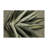 Botanical Brown Indoor and Outdoor Area Rug-634904518