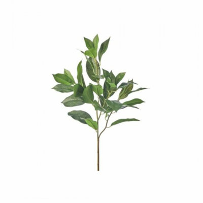 Vert feuille de citron vert, faux arbres et plantes