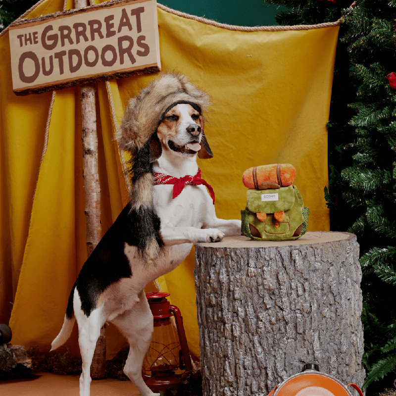 The Grrreat Outdoors Accessories