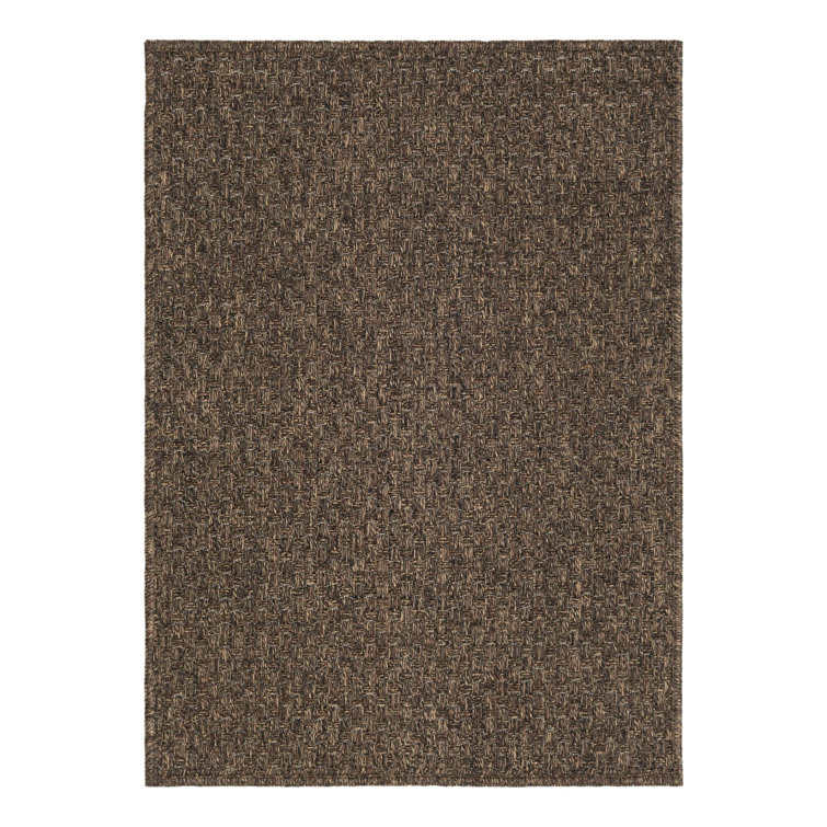 Shadyvale Machine Woven Polypropylene Area Rug in Brown