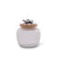Olive Grove Glass Jar-454354655