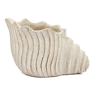 11.5X7x7 Inches Sand And Cement Shell Planter For Bohemian Home Decor With Herbs Trailing Plants Rustic Room