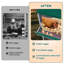 Boîtes gigognes pour poules pondeuses 46 pouces 46 compartiments pour poules pondeuses et poules pondeuses-1755692536-1755692535