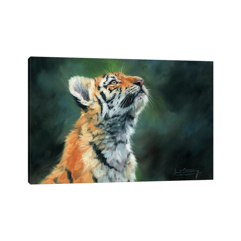 Tiger Cub Looking up 1 Piece Wrapped Canvas Wall Art, 45.72cm H x 66.04cm W