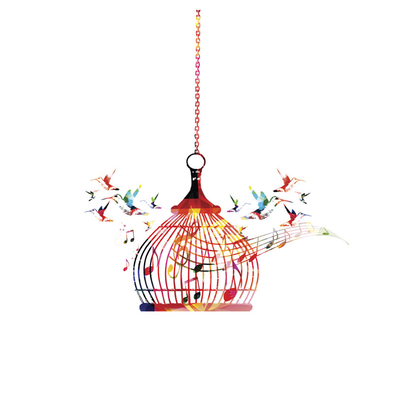 Cage à oiseaux colorée, H 12 po x l 12 po