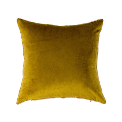 Velvet Throw Pillow Set of 2