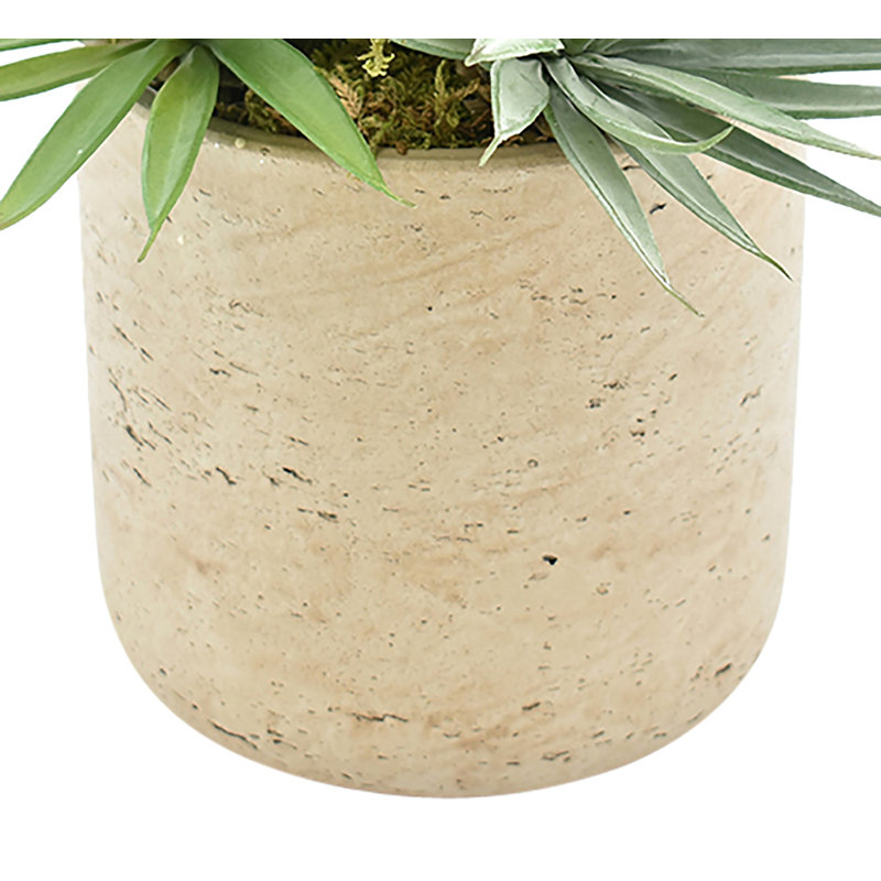 12'' Faux Succulent Plant in Fiberstone Pot