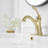 Single-Hole Single-handle Bathroom Faucet with Drain Assembly-95166387