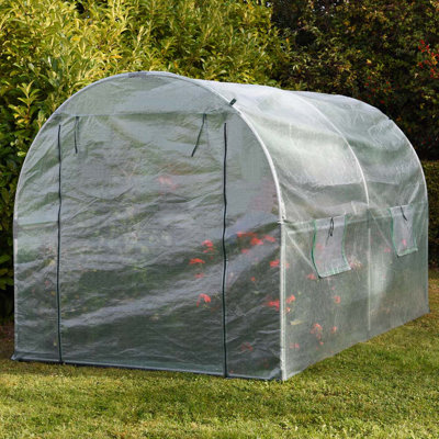 Polytunnel