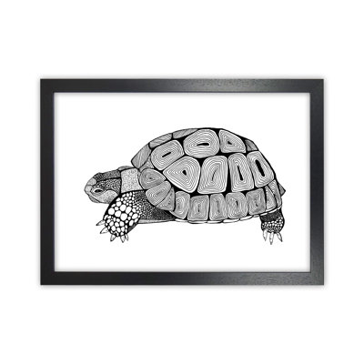 Tortoise by Carissa Tanton - Print
