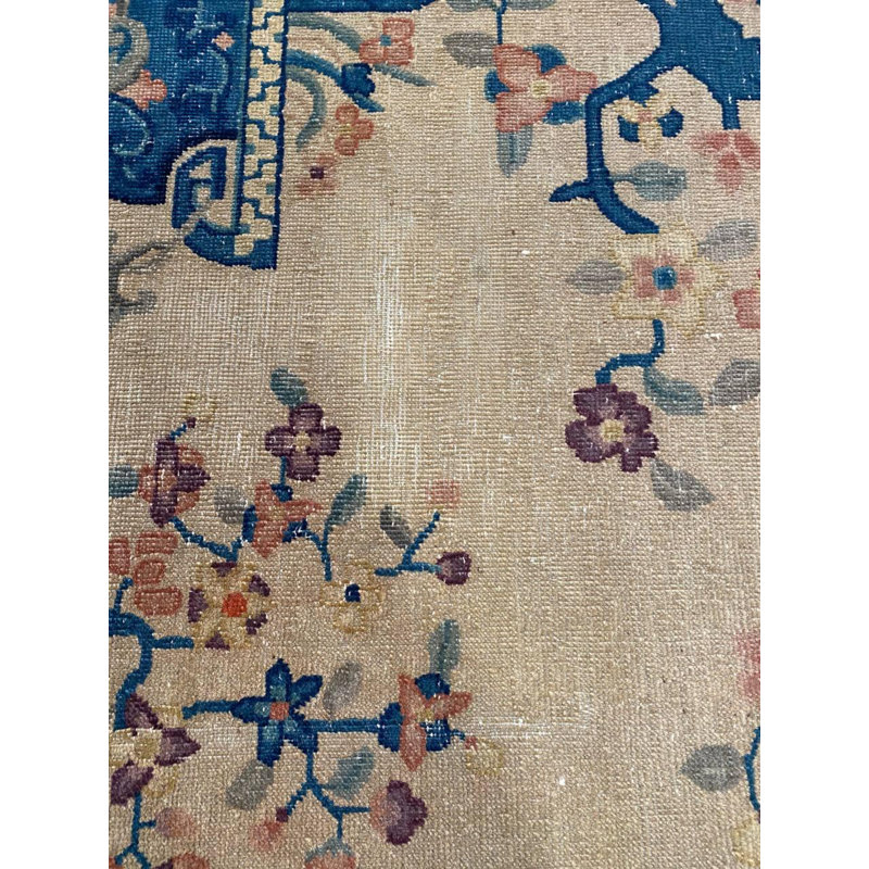 Floral Area Rug in Beige