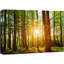 Paysage naturel au lever du soleil sur la forêt verte-93629556-93629551