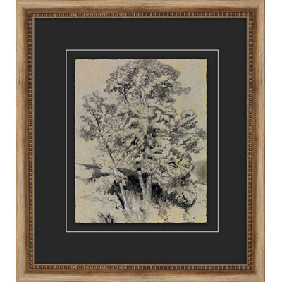 Antique Tree Study 1 Painting